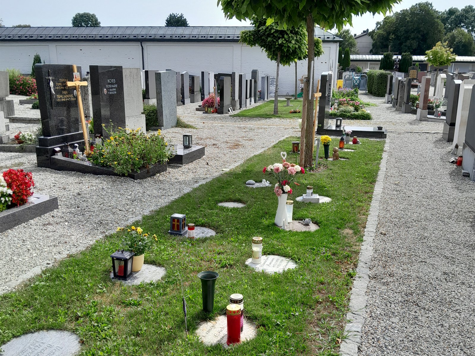 Friedhof: Baumbestattung