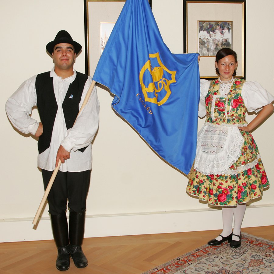 Städtepartnerschaft Cegléd: 2008